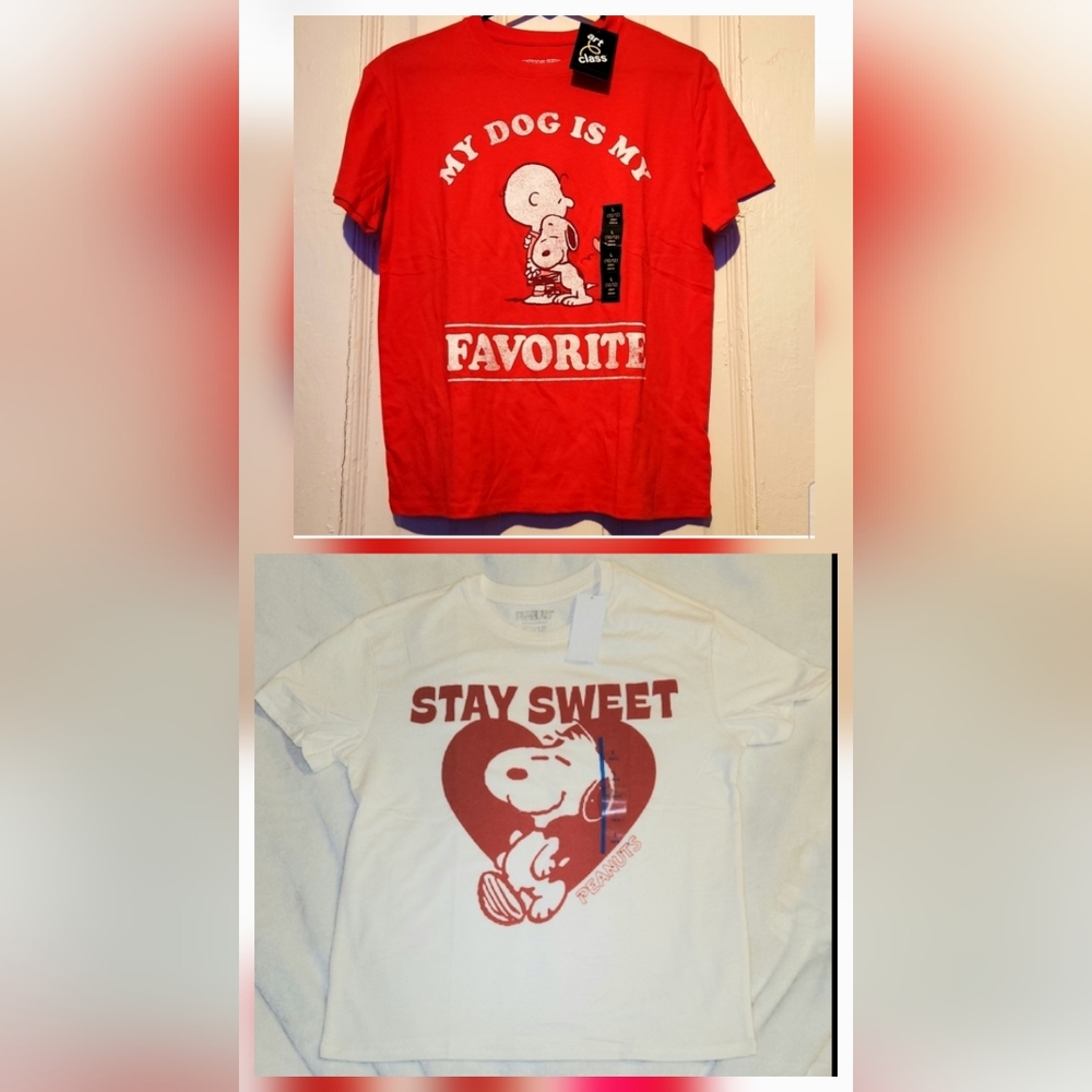 Youth Snoopy, Peanuts Valentines, Red and White Heart, Dog T-Shirt Sz L (10/12)